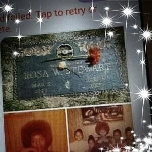 Meet your Posher, Rosa